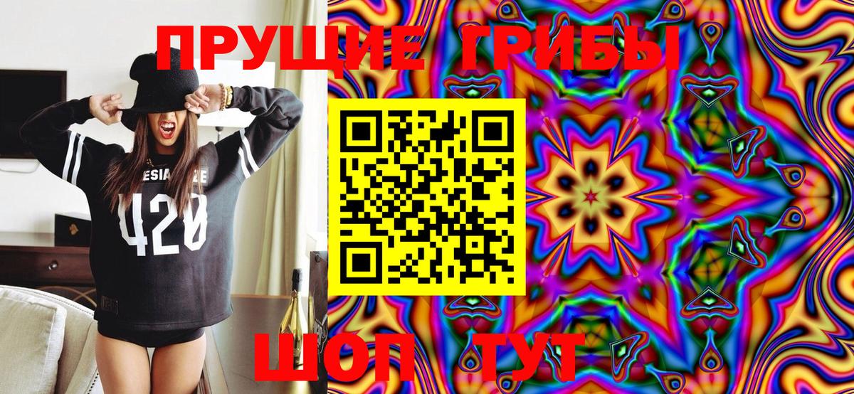 Галлюциногенные грибы Psilocybe Химки