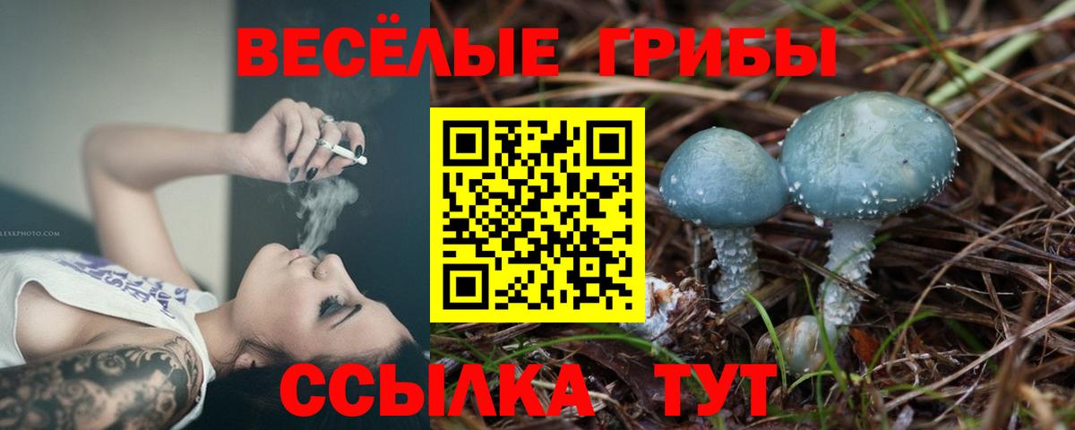 Химки  Псилоцибиновые грибы MAGIC MUSHROOMS  Вход с VPN 